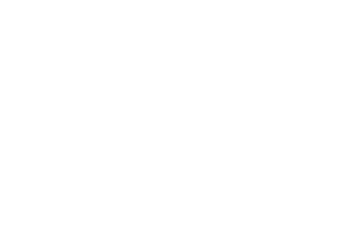 Zertium Desarrollos