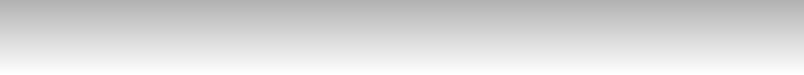 Zertium Desarrollos